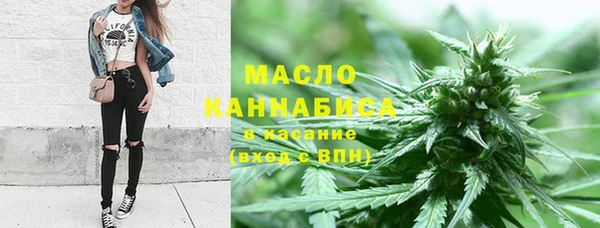 сатива Нея
