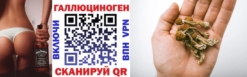 darknet какой сайт  Урус-Мартан  Галлюциногенные грибы MAGIC MUSHROOMS  купить  
