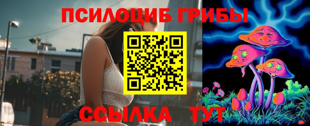 Псилоцибиновые грибы ЛСД  Галлюциногенные грибы GOLDEN TEACHER  Урус-Мартан  Вход с VPN 