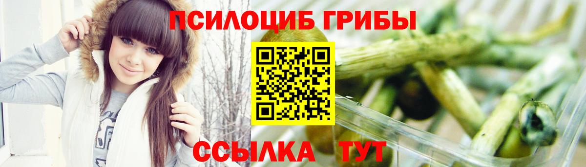 Галлюциногенные грибы Psilocybe Урус-Мартан